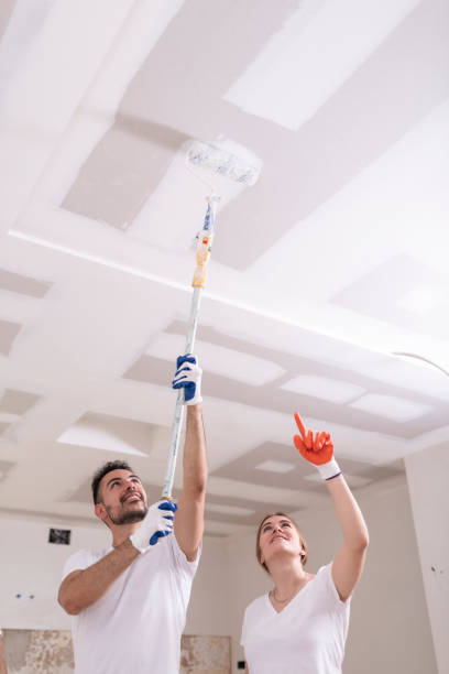 Reliable Chamblee, GA Mold Removal Solutions