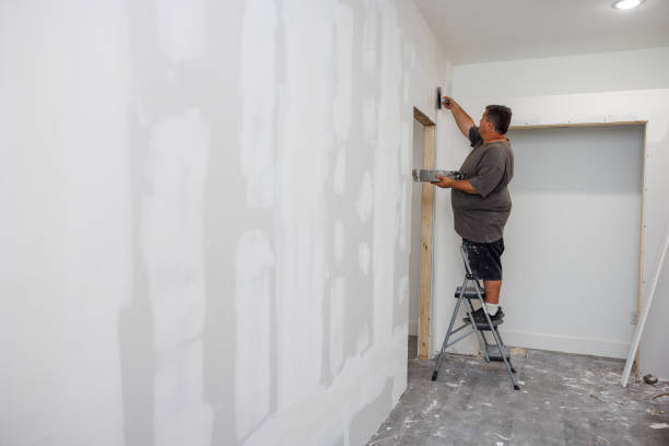 Best Attic Mold Removal  in Chamblee, GA