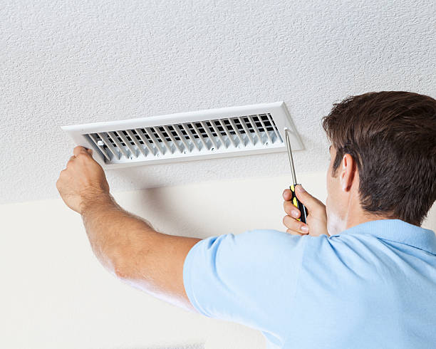 Best Attic Mold Removal  in Chamblee, GA