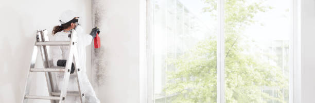 Mold Odor Removal Services in Chamblee, GA