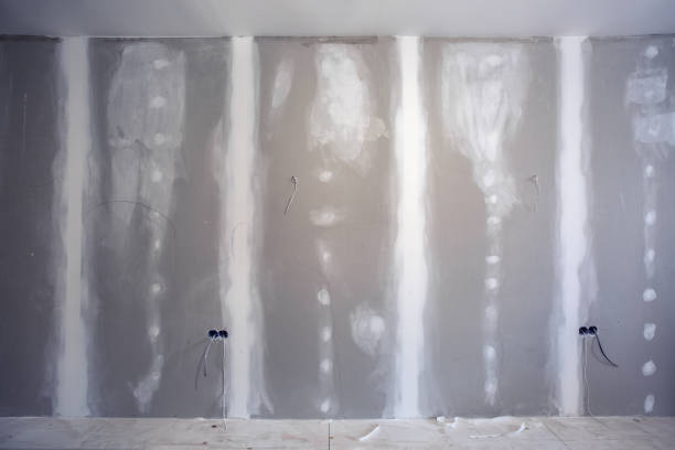 Best Mold-Related Health Consultation  in Chamblee, GA